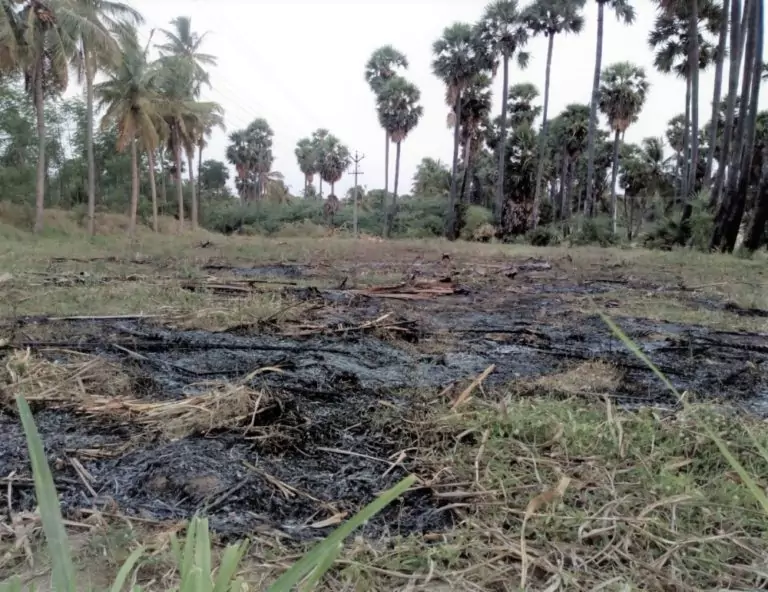 Stubble Burning on Farm